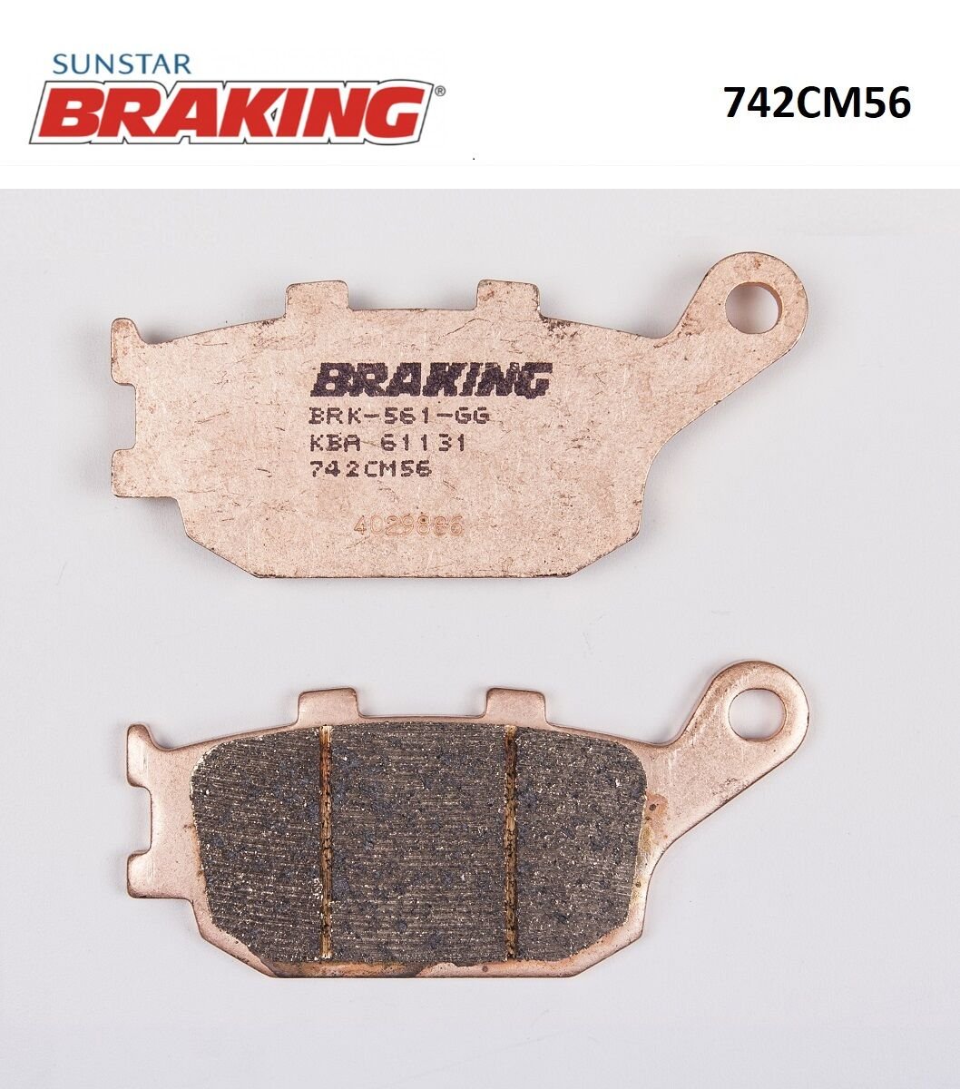 Kawazaki Z 10000 SİNTERLİ ARKA FREN BALATASI