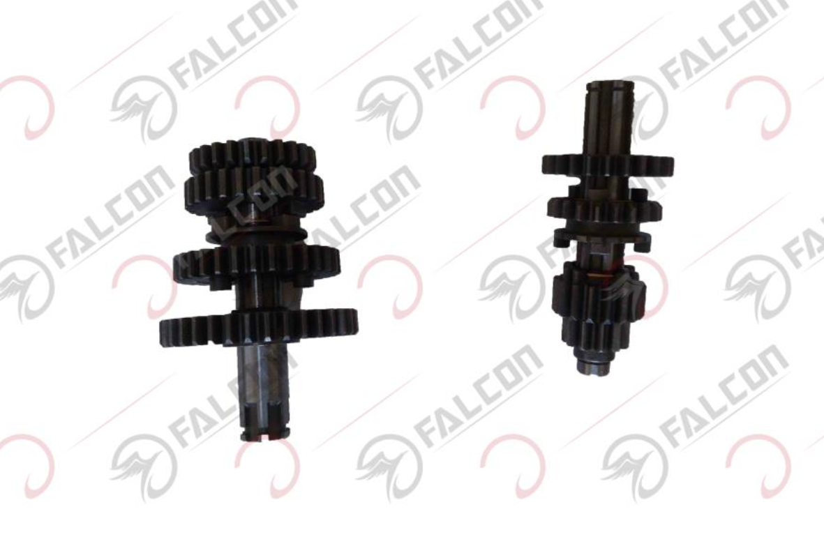 ŞANZIMAN KOMPLE-MAGİC 100 Falcon