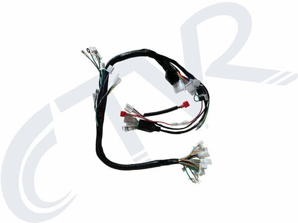 AGK- CG - KUBA -ASYA ELEKTRİK TESİSATI 3 ÇIKIŞLI BENZİN GÖSTERGELi