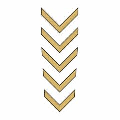 CG GOLD ÇAMURLUK ÜST STİCKER