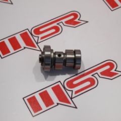 BWS 125 EKSANTRİK MİLİ