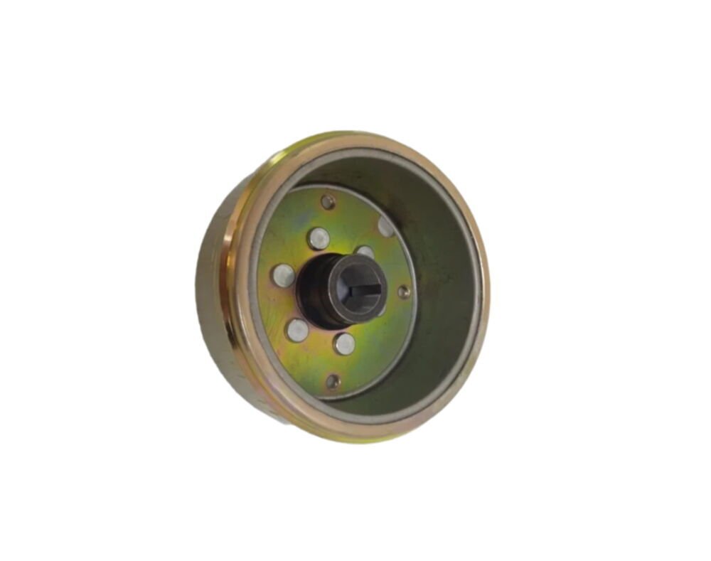 REGAL RAPTOR Max 125 Alternatör Volant