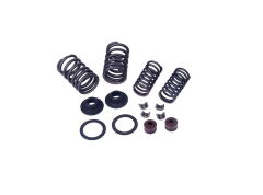 REGAL RAPTOR Max 125 Subop Yay Takım Komple