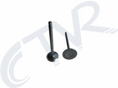 CRYPTON EGZOZ EMME + SUBAP TAKIMI /DQ'