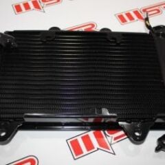 PULSAR RS 200 RADYATÖR A