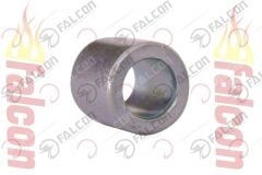 ARKA TEKER BURCU BÜYÜK-MEXİCO Falcon