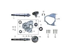 AYNA MARUTİ DİŞLİSİ ( RİSOTTO 125 )