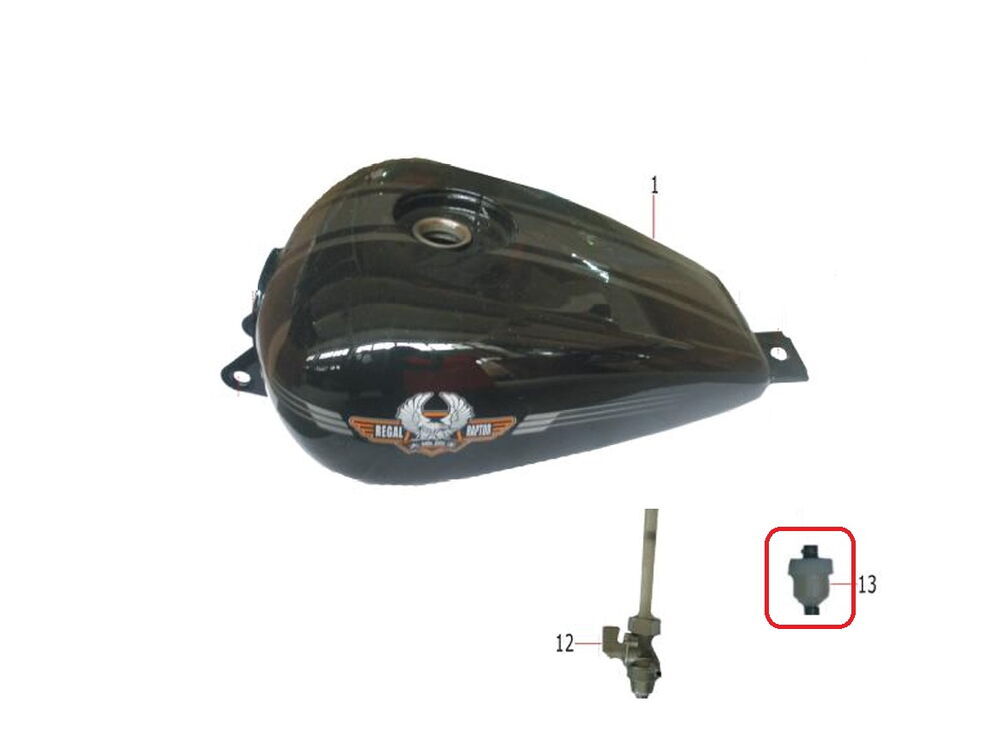 REGAL RAPTOR DD-250E-9 Benzin Filtresi