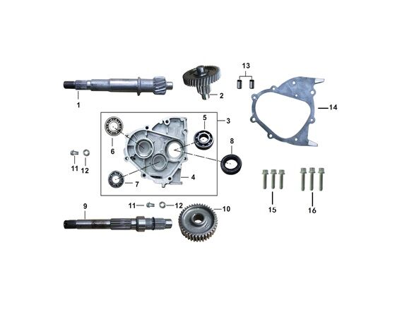 ARKA TEKER MİLİ ( RİSOTTO 125 )