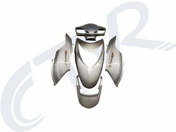 SPACY 110 KAPORTA SETİ GRİ BOYALI PARÇALAR CTVR