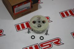 APACHI XZ 250 17 HP YAĞ POMPASI ORJINAL