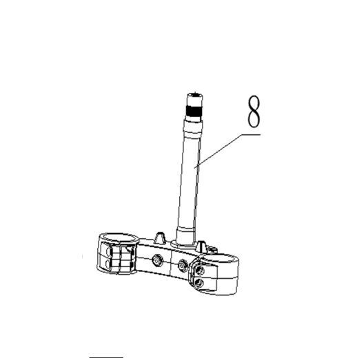 REGAL RAPTOR SPN 125 Alt Mesnet