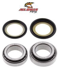 Kawazaki NINJA 250 R ABR GİDON RULMAN TAKIMI