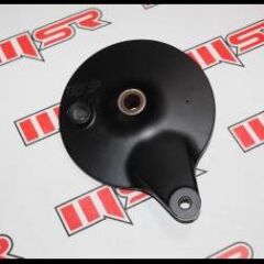 TVS RAIDER 125 ARKA KAMPANA A