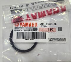 Yamaha N-MAX 125 VARYATÖR OYNAR YANAK CONTA