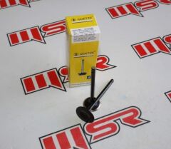 ACTIVA SÜBAP HİNDİSTAN