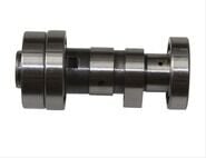 EKSANTRİK MİLİ  CUP 100 KH + 110 KF