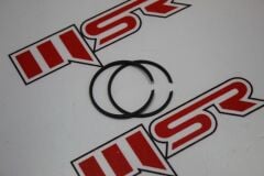 PEUGEOT  46 MM ÇİFT SEGMAN TK