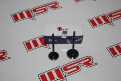 BAJAJ PULSAR 200 DTSI SÜBAP 2 Lİ TK