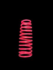 AMORTİSÖR YAYI ATLAS