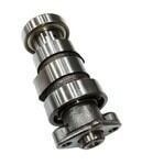 EKSANTRİK MİLİ  SK RITMICA 100