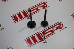 STR 250-YUKİ İZCİ  SÜBAP TK