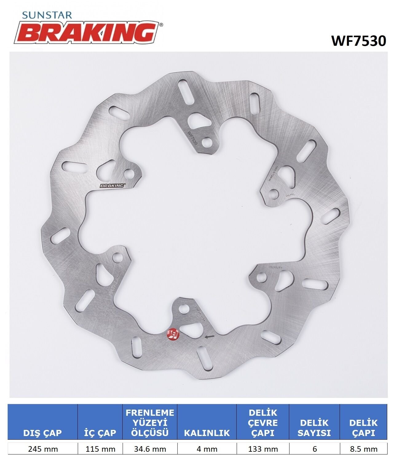 Ducati MULTISTRADA V2 / S 937 DALGALI ARKA FREN DİSKİ