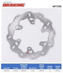 Ducati MULTISTRADA V2 / S 937 DALGALI ARKA FREN DİSKİ