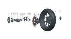 REGAL RAPTOR Pılder 250 Arka Disk