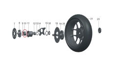 REGAL RAPTOR Pılder 250 Arka Dişli Rulmanı