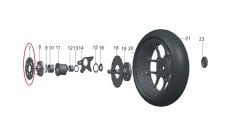 REGAL RAPTOR Pılder 250 Arka Dişli 530 32t