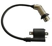 İNDİKSİYON BOBİNİ SK RITMICA 100 (Sac Buji Başı)