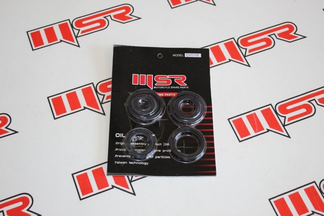 MSR KEÇE SETİ LX200