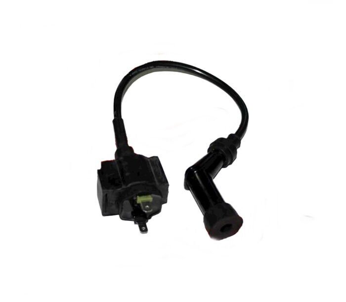 REGAL RAPTOR DD-250E-9 Ateşleme Bobini