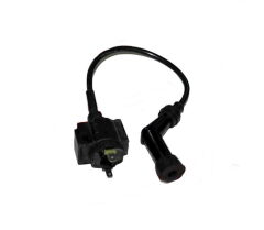 REGAL RAPTOR DD-250E-9 Ateşleme Bobini