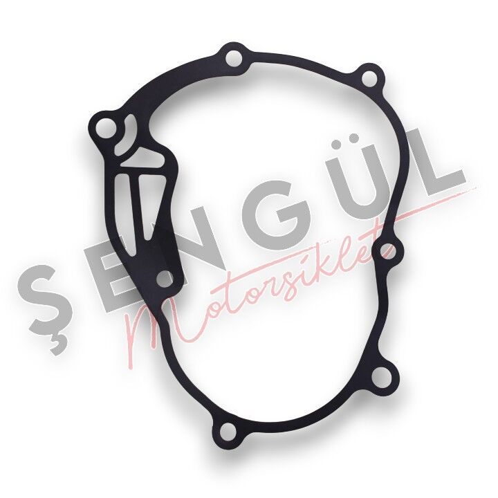 VOGE 250 RR DEVİRDAĞİM CONTASI