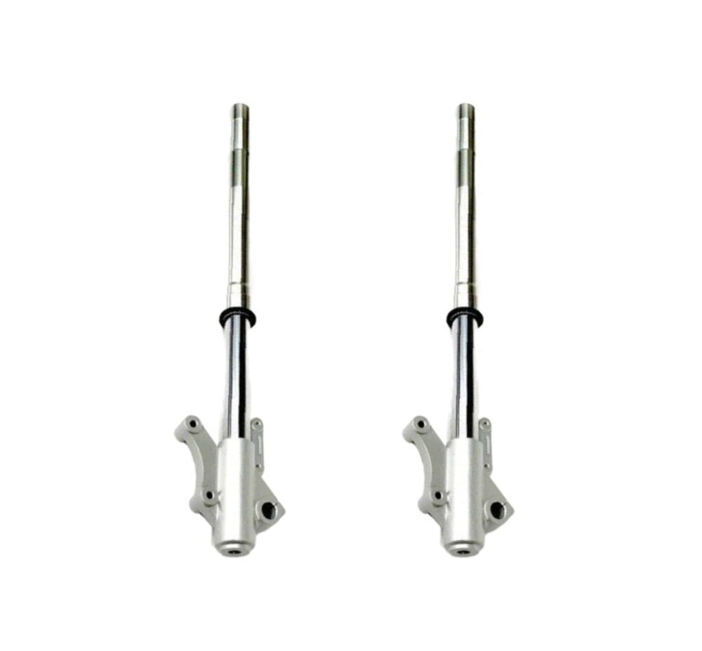 REGAL RAPTOR Pılder 250 Ön Amortisör Takım