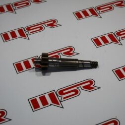 JAWA ŞANZUMAN MİLİ