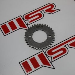 STR 250-YUKİ İZCİ EKSANTRİK DİŞLİSİ