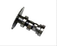 EKSANTRİK MİLİ SK SCOOTER 150 HS + UMP