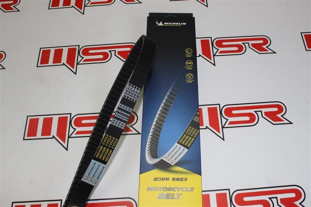 MICHELIN KAYIŞ PS 150 DYLAN