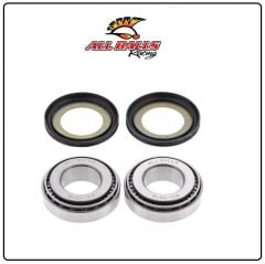 Harley Davidson XL 883 L SUPERLOW ABR GİDON RULMAN TAKIMI