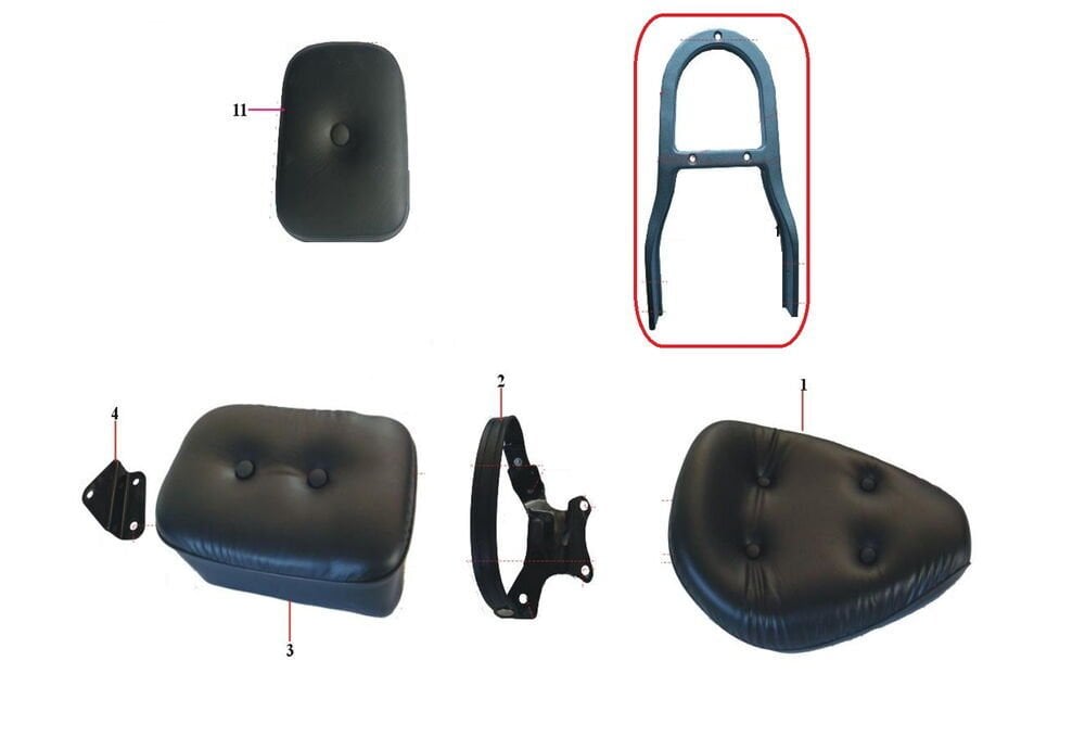 REGAL RAPTOR DD-250E-9B Sisy bar Sırt Yaslama Demiri