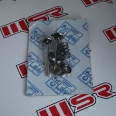 PİAGGİO FLY 125 - VESPA LX 125-LX150-PRİMERA SUBAP-YAY-KEÇE SETİ OEM