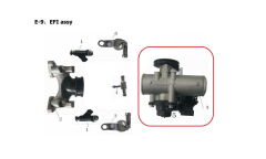 REGAL RAPTOR Pılder 250 Gaz Kelebek Komple