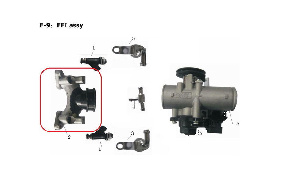 REGAL RAPTOR Pılder 250 Manifold