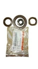 REGAL RAPTOR Pılder 250 Keçe Takımı