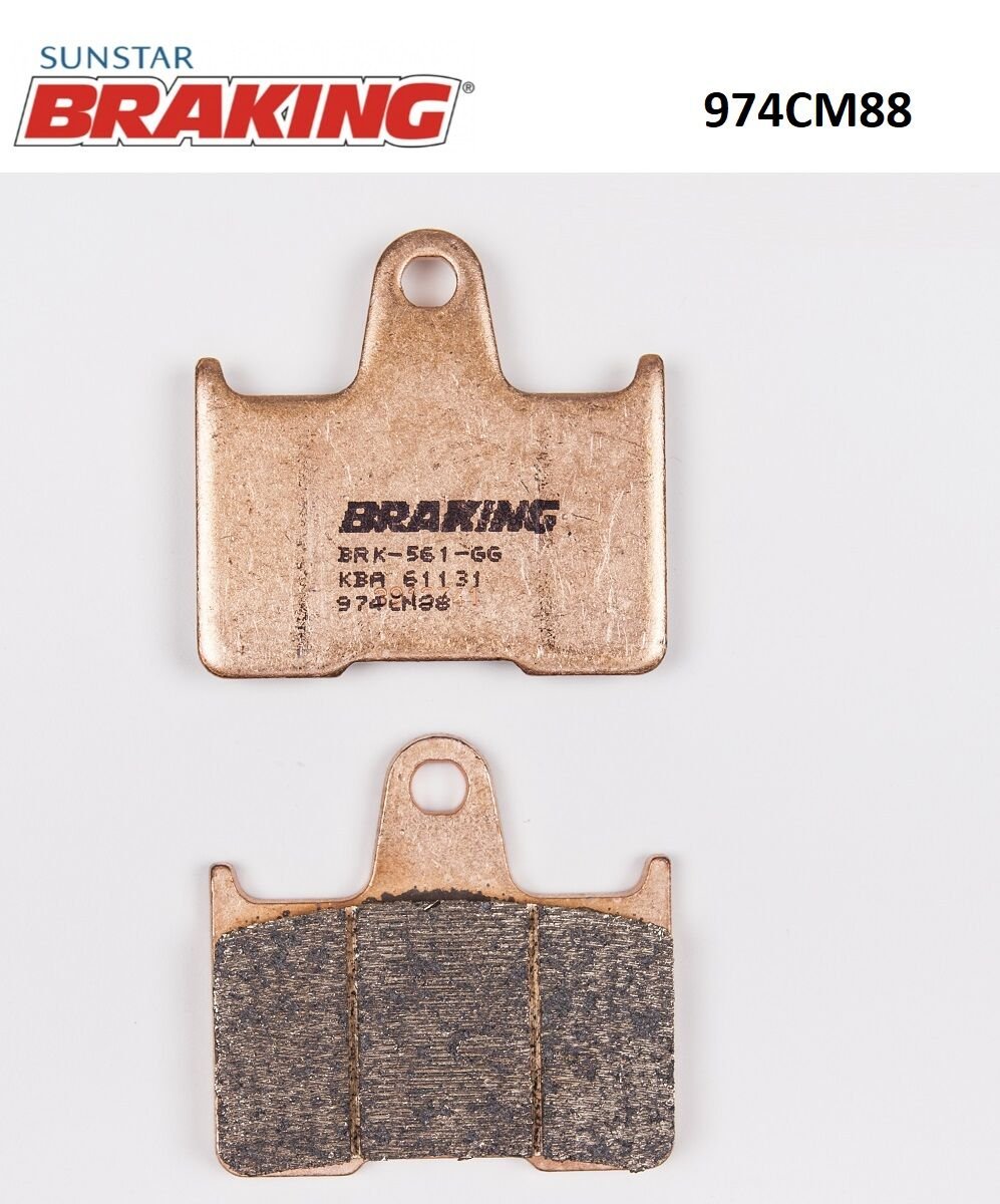 Harley Davidson XL 883 N IRON SİNTERLİ ARKA FREN BALATASI