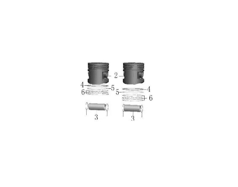 REGAL RAPTOR Pılder 250 Piston Segman Takım