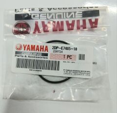 Yamaha N-MAX 155 VARYATÖR OYNAR YANAK CONTA